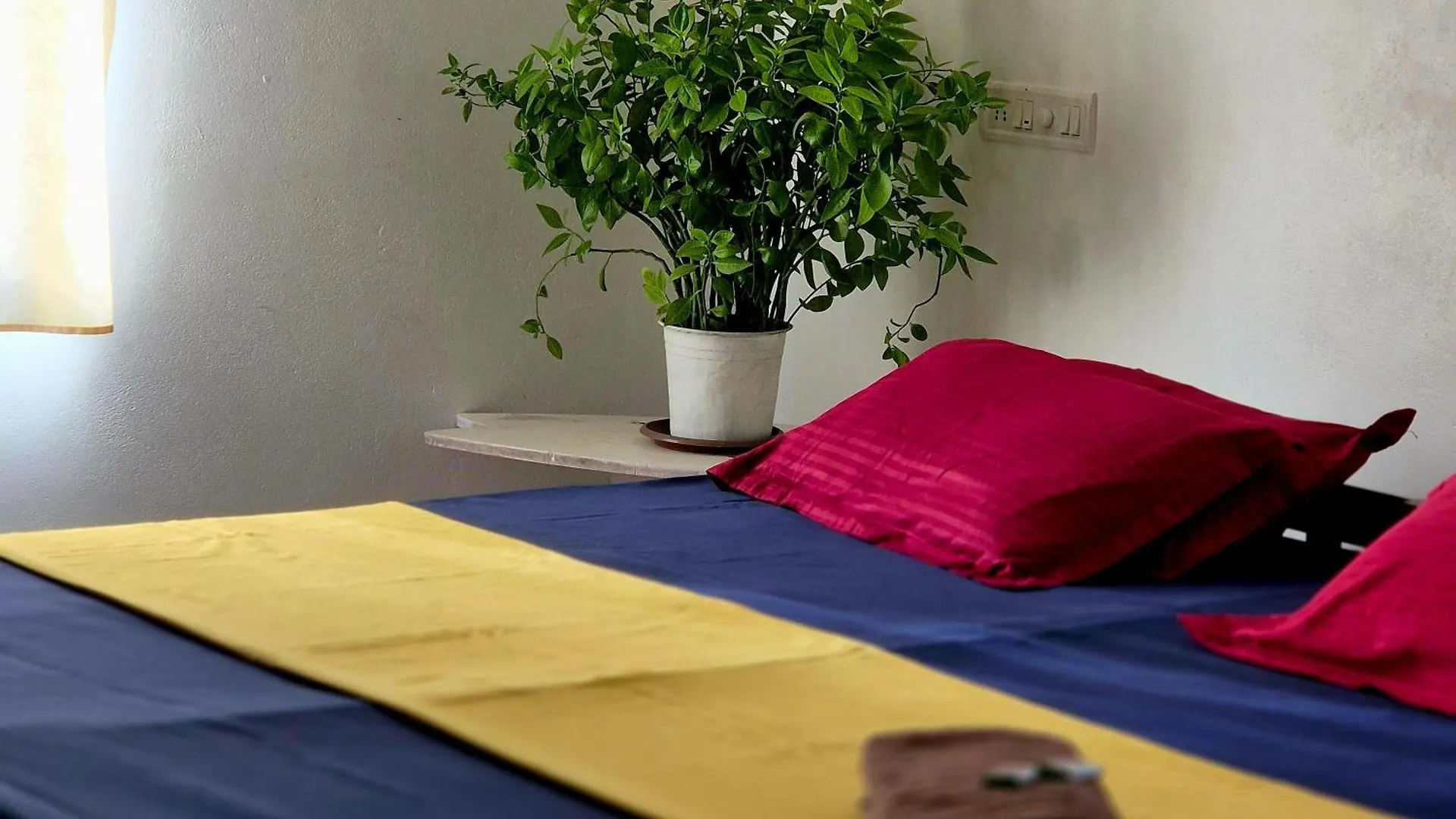 Villa Vibes Of Varkala Homestay